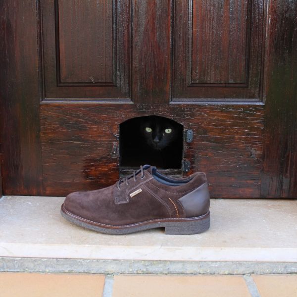 Zapato Cordón Membrana 