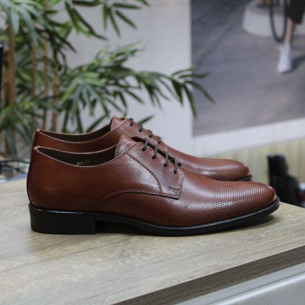 Blucher Picados t2in